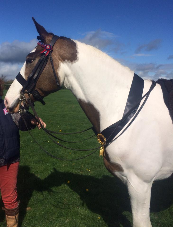 Polly Mallender and Skewpie Champagne Charlie