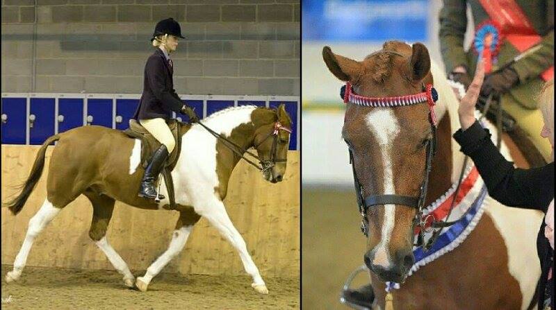Victoria Gray & Northlands Mr Chico