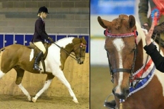 Victoria Gray & Northlands Mr Chico