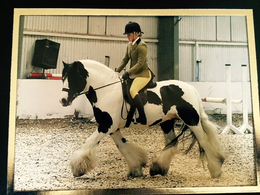 Willow Tarrant riding SD Classic Edition
