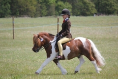 Brinleyview Camanchee and Gemma Pallett