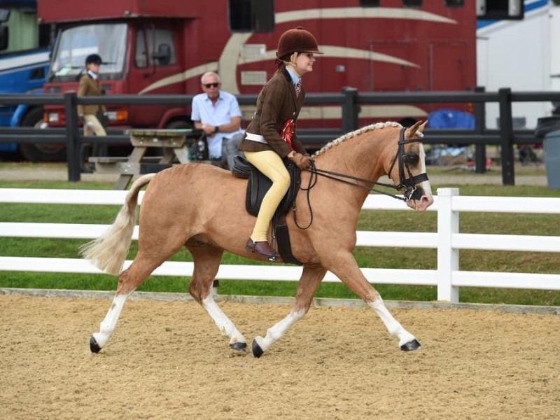 Pearl-Morris-and-Quinton-Golden-Crusader