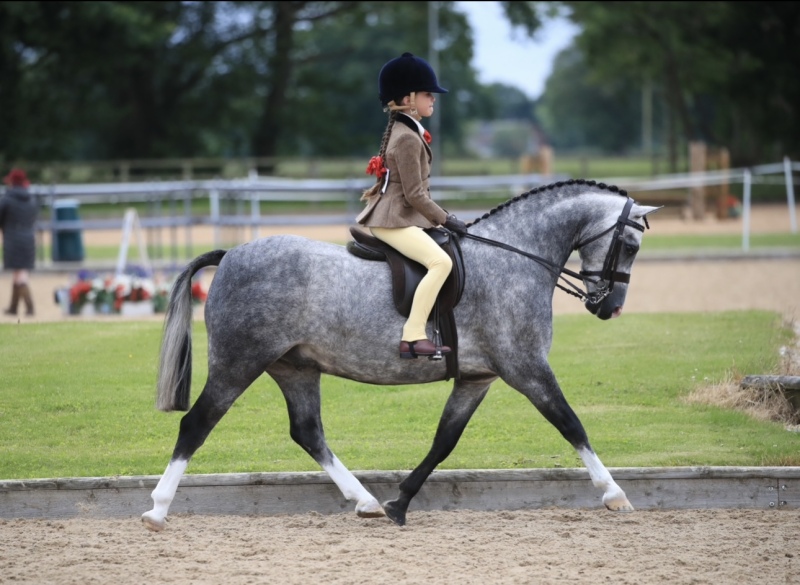 Darcie-Fielding-and-Rowfantina-My-Buddy