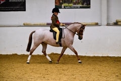 Jemima-Makin-Jones-Horse_Pony-Colway-Belle-of-the-Ball