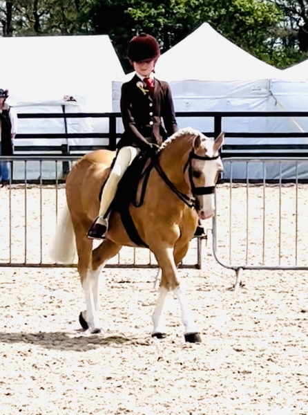 Pearl-Morris-and-Quinton-Golden-Crusader-
