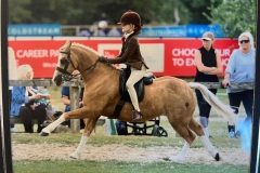 Pearl-Morris-and-Quinton-Golden-Crusader