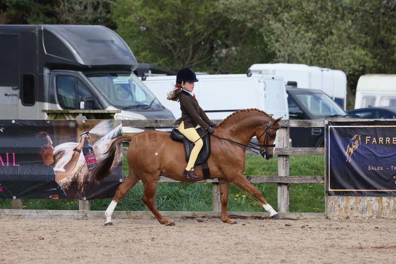 The North Of England Spring Show