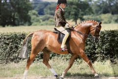 Alexandra-svensson-and-Carrwood-pharoah