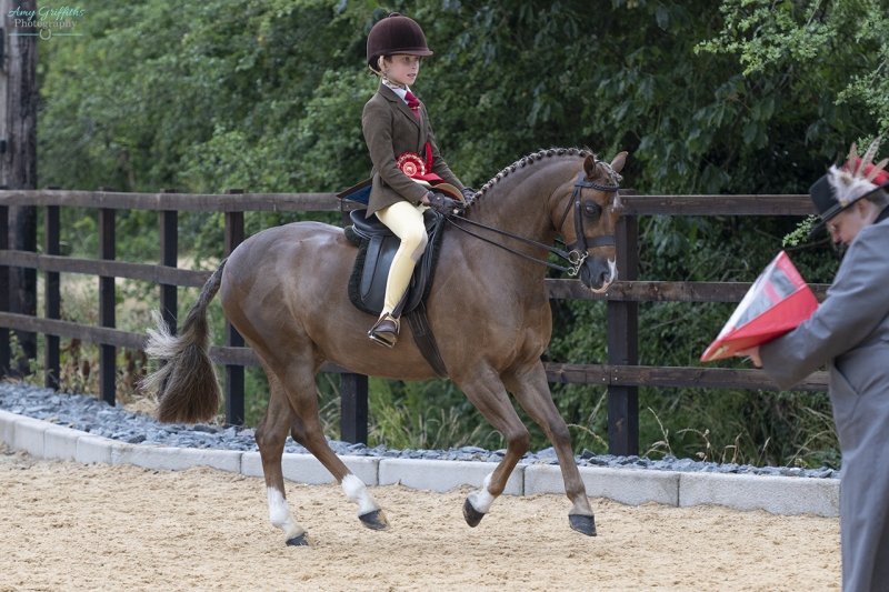 Charlie-Lea-Horse_Pony-Annandale-Line-of-Duty