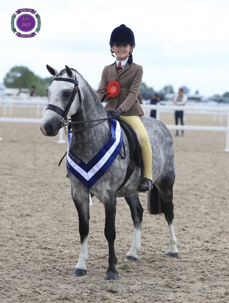 Darcie-Fielding-Horse_Pony-Rowfantina-My-Buddy