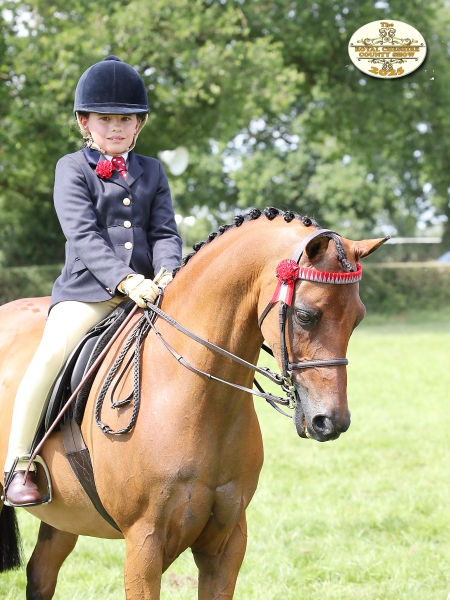 Jemima-Makin-Jones-Horse_Pony-Rotherwood-Spring-Rain