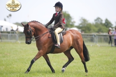 Kjerstin-Chissel-Horse_Pony-Littlebyrom-Limited-Edition-