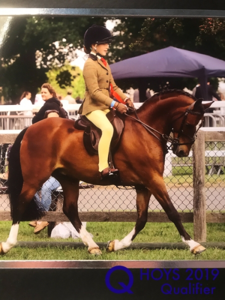 Scarlett Williams and Wortley dragoon