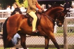 Scarlett Williams and Wortley dragoon