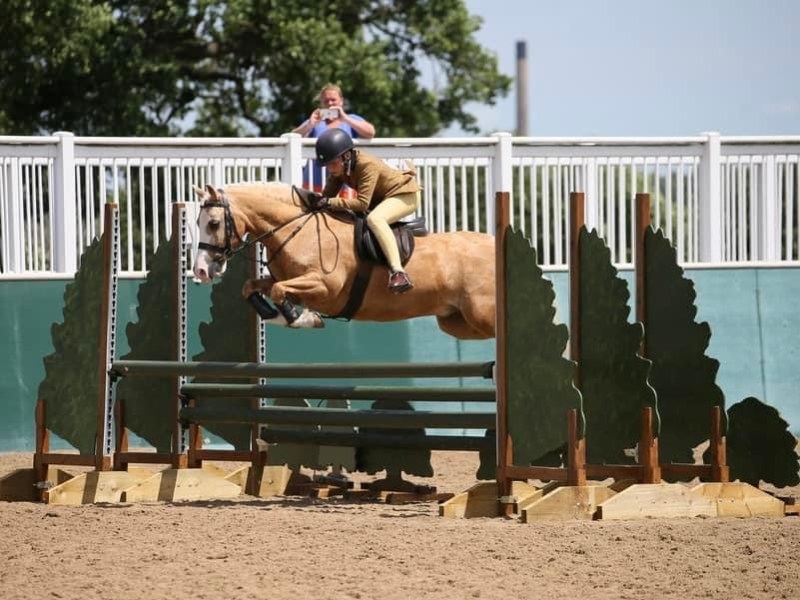 Ollie-Rowlands-and-Settvalley-The-Titan