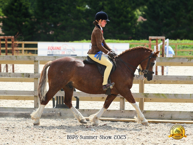 Jorgi-Craigie-Horse_Pony-Rhydeilian-Regan