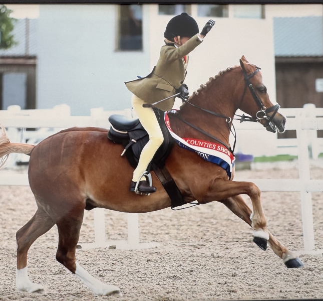 Violet-mennie-Horse_Pony-Brookhall-Pavarotti