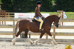 Jorgi-Craigie-Horse_Pony-Rhydeilian-Regan
