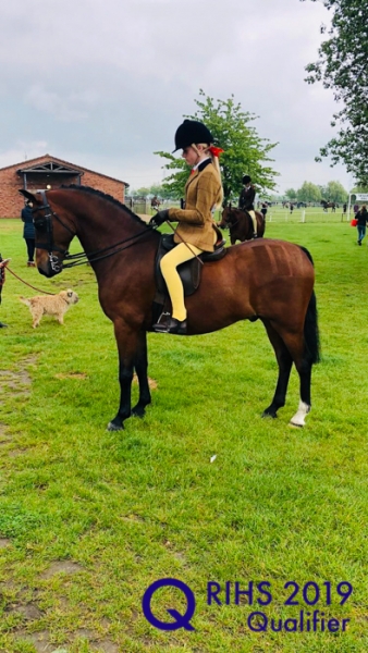 Gracie McCaffrey and Rushfield Sabota Lark