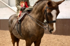 Kate Hewson and Gwithian Master Harry