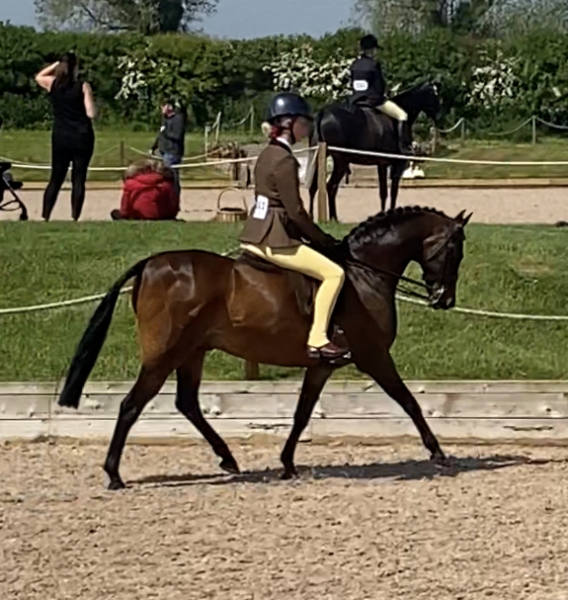 Millie-ramshaw-and-Thornsett-Valentino