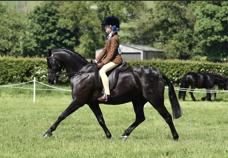 Nellie-Ingham-and-Oakum-just-William