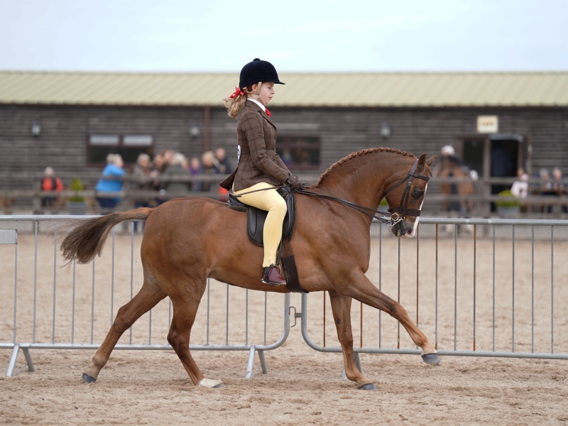 Daisy-Trebble