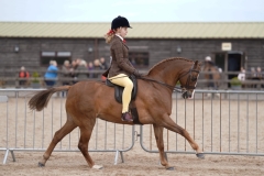 Daisy-Trebble