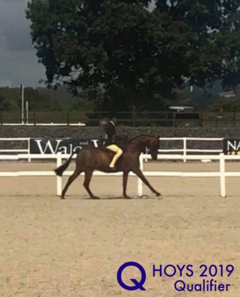 Kizzie-Lucas-and-Broadgrove-Showman