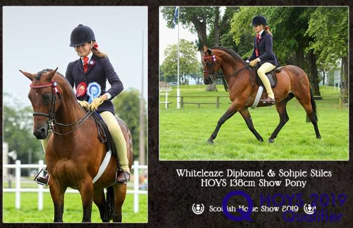 Sophie-Stiles-and-Whiteleaze-Diplomat