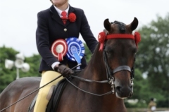 Poppy-Gresty-and-Brookvale-Lord-Grantham