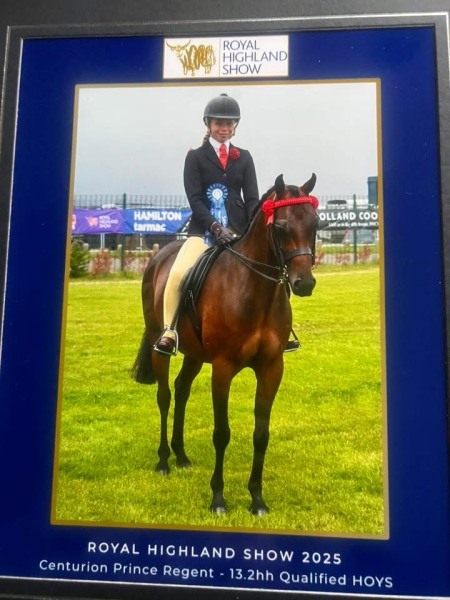 Lilly-Richardson-Horse_Pony-Centurion-Prince-Regent
