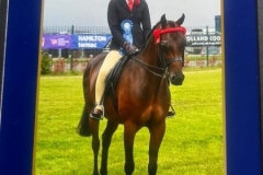 Lilly-Richardson-Horse_Pony-Centurion-Prince-Regent