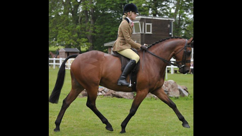 Highmead Assurance & Alexia Trodd-Bohin