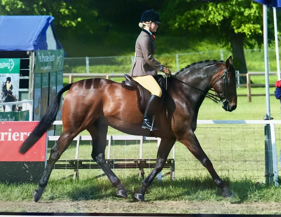 Kilmiston King Kudos & Holly King