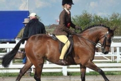 Bassano Prince Of Thieves and Lucie Gordon Burgess