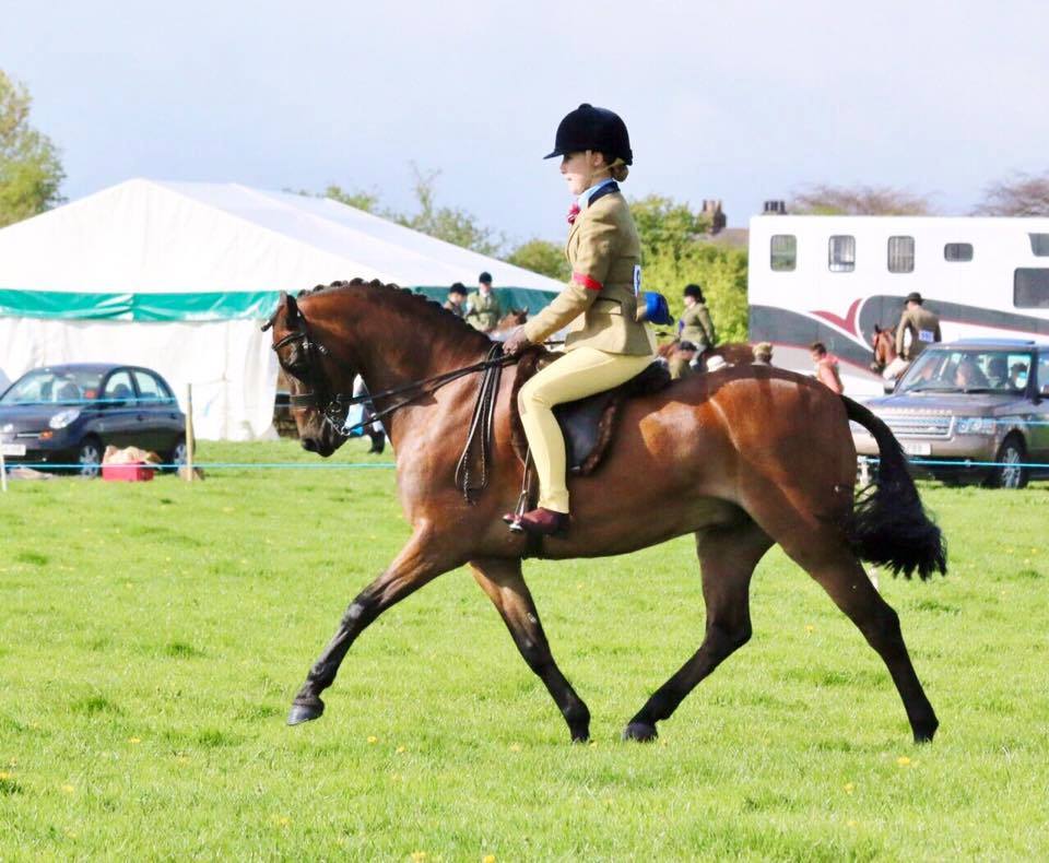 Fayre Dafydd