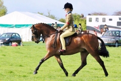 Fayre Dafydd