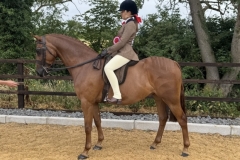 Sofia-Anders-Horse_Pony-Annandale-Super-Trouper