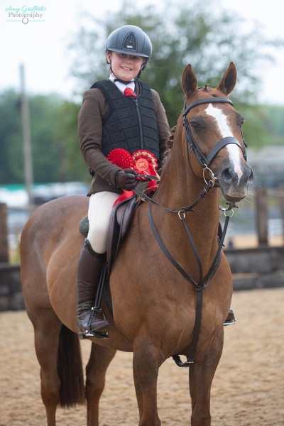 Flissy-watts-Horse_Pony-Charlie-Chan-II