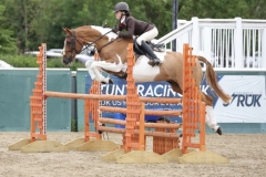 Gracie-Aungier-Horse_Pony-Allandy-Gold-Spark