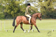 Lily-Snow-and-Greylands-Razamataz