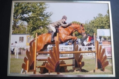 Hiccup and Georgia Love