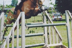 Lisa's dream & Georgina Horsley-Gubbins