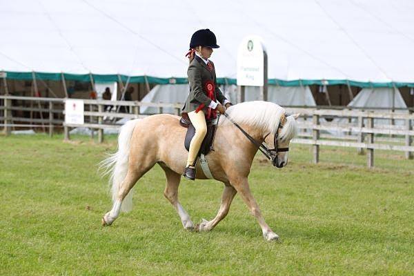 Louise Eyres and Glebedale Sidelined