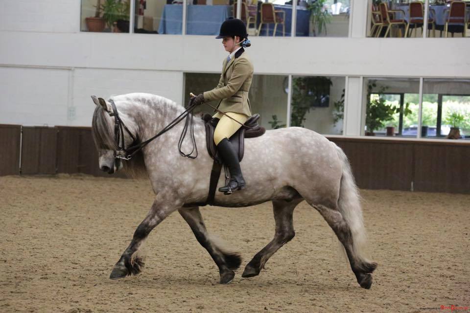 Ellie Bowen and Glenwestcastle Master Basil