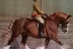 Springrove Alexander  and Chelsea Szostak