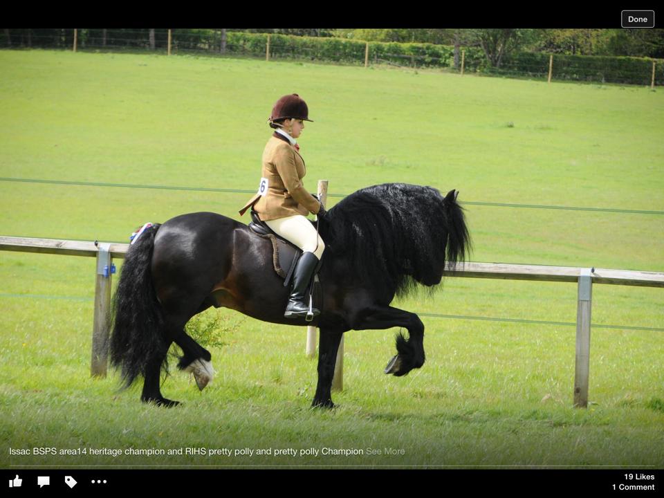 Beth Ahmet and Aquilas Stud Pendragon