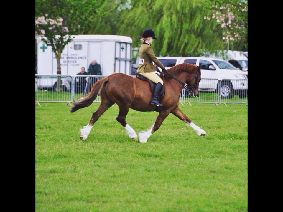 Anna Stacey and Mowcastle Mickey