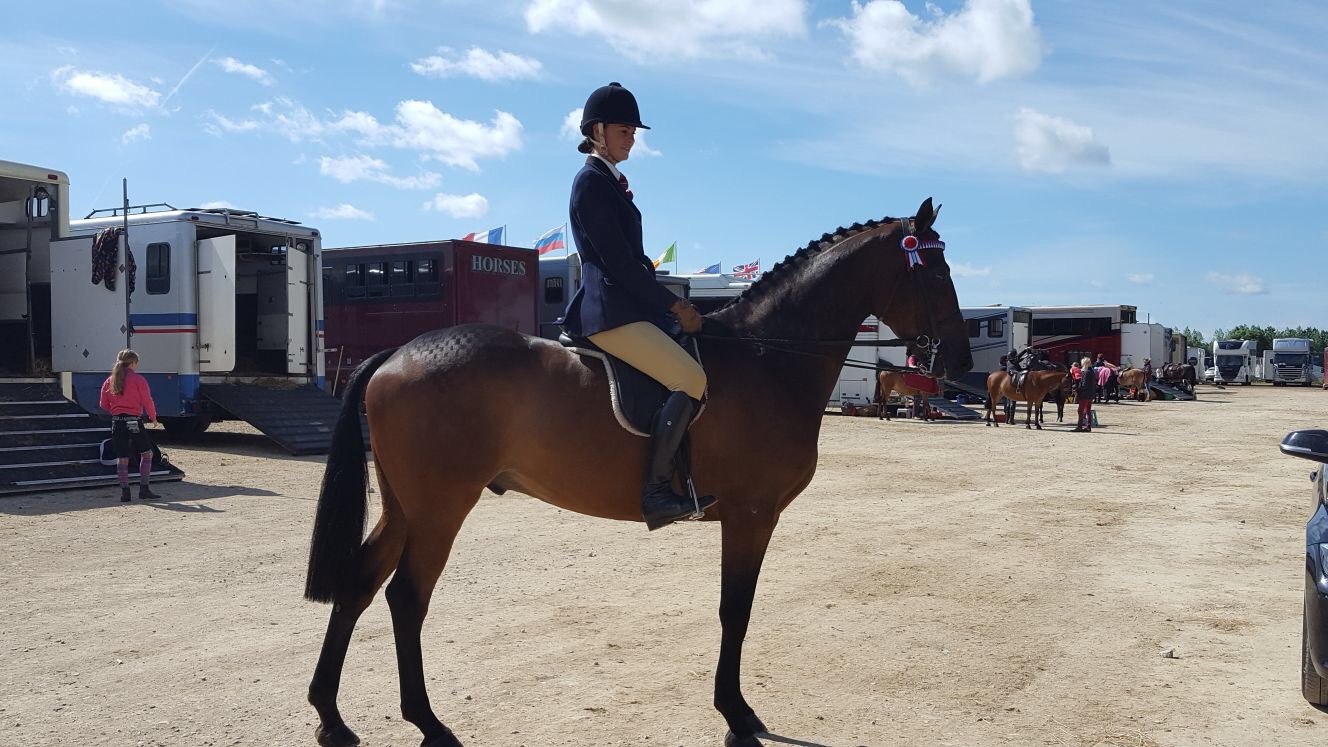 Emma Dewhurst Horse:Pony Parkgate Royal Visit William